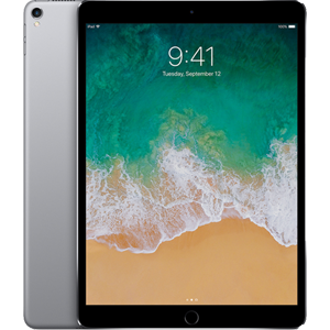 IPAD PRO 2017 256GB 10.5IN
